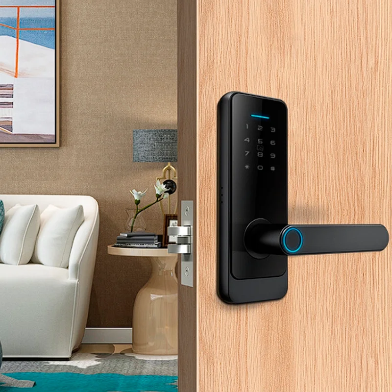CERRADURA INTELIGENTE HUELLA DIGITAL BIOMÉTRICA TARJETA LS-C89